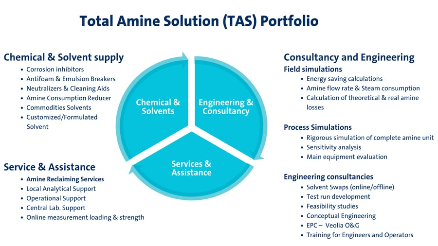 EU TDS_LP_Total Amine Solution (TAS) Portfolio